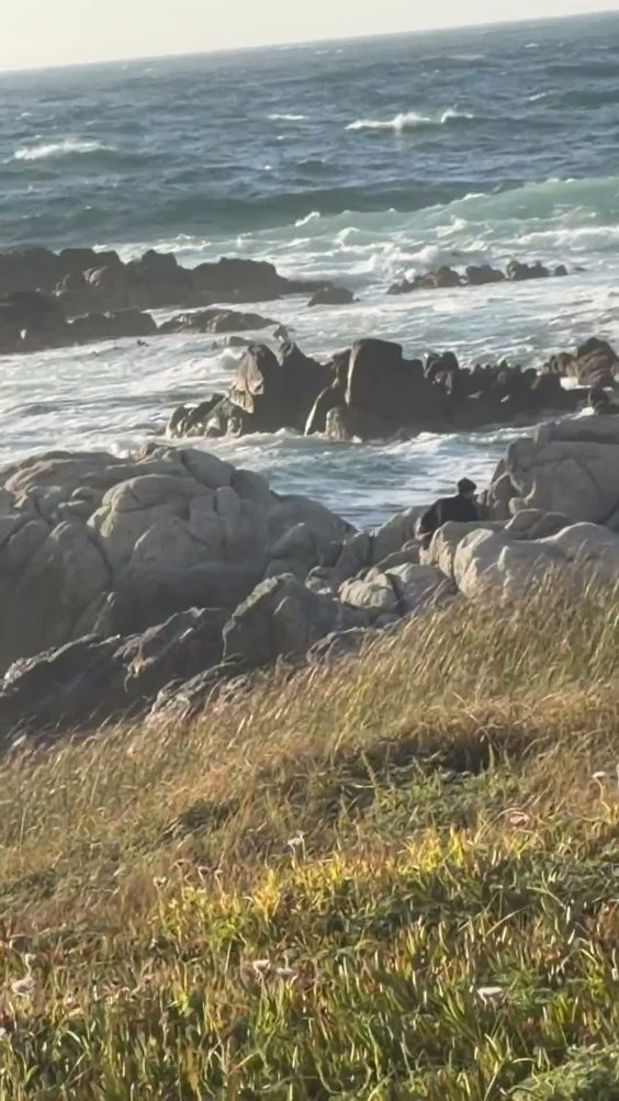 City Moment · Pacific Grove