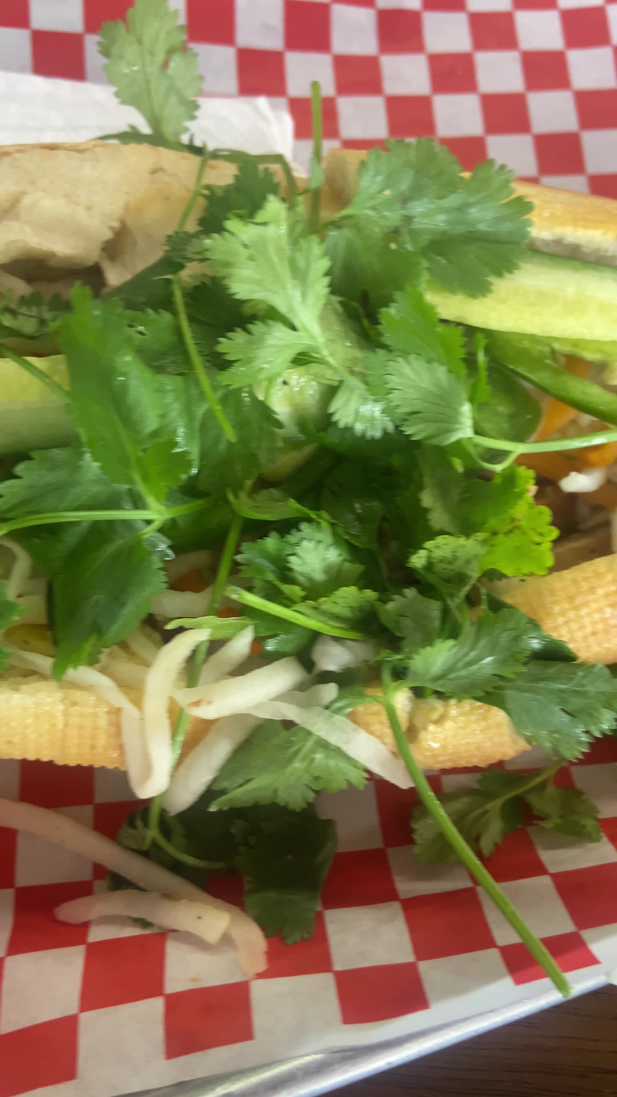 Video review of Pickle Banh Mi Co.