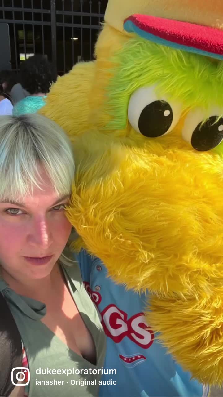 Chicago Dogs Ballgame