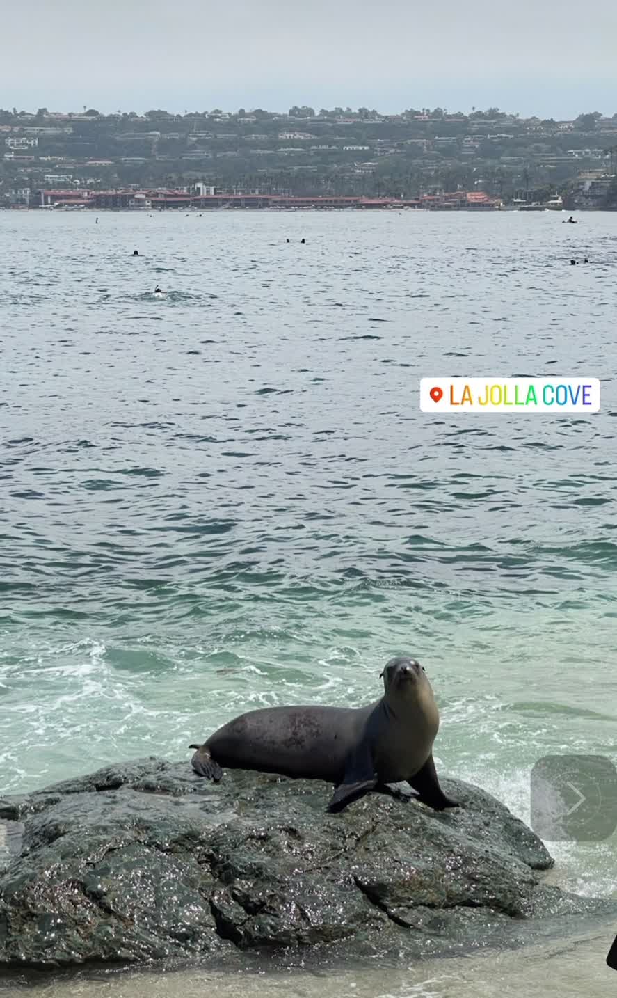 1st Pointe La Jolla