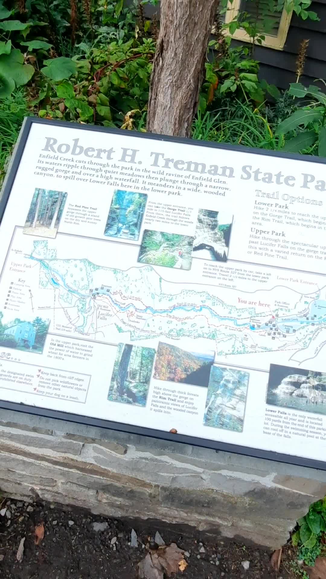 Robert H Treman State Park