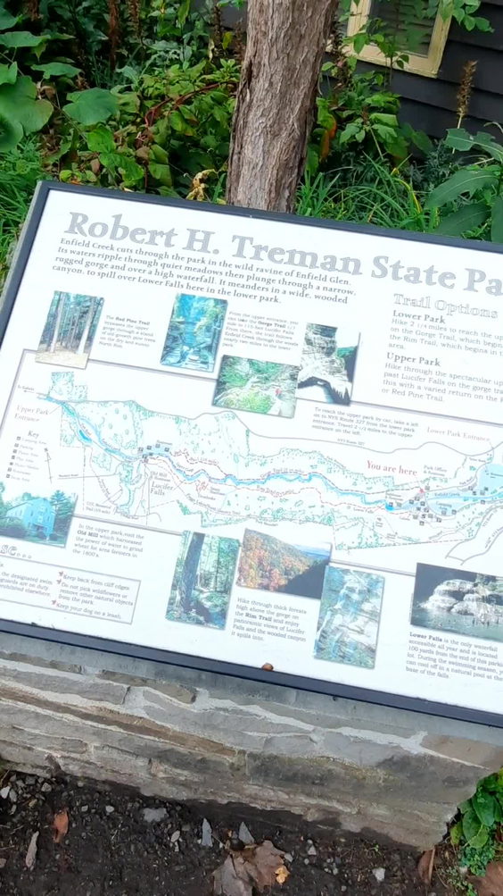 Robert H Treman State Park