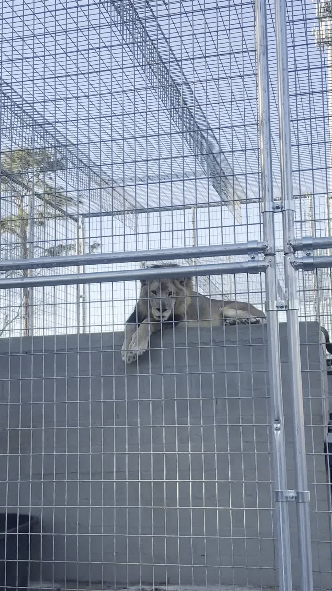 Lakeland Square Mall