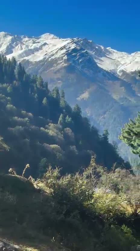 Himalaya Hotel Nainitial