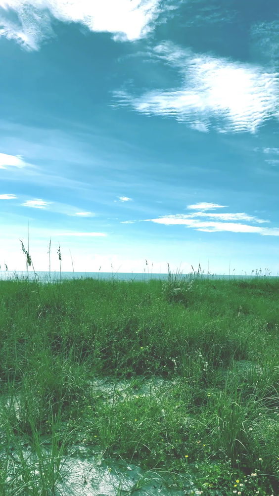 Peacock Beach