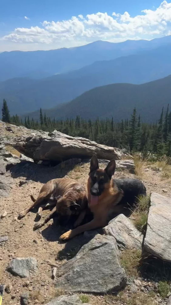 Mestaa’ėhehe Mountain Lookout