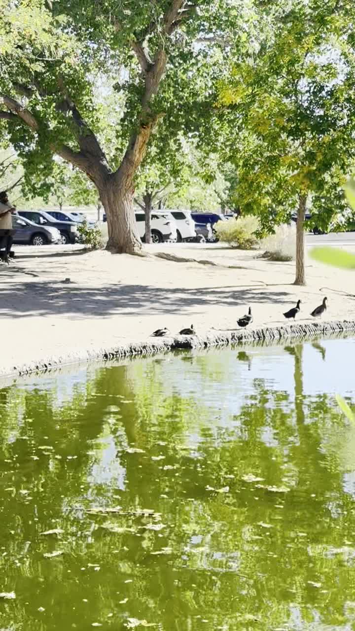 Mariposa Basin Park