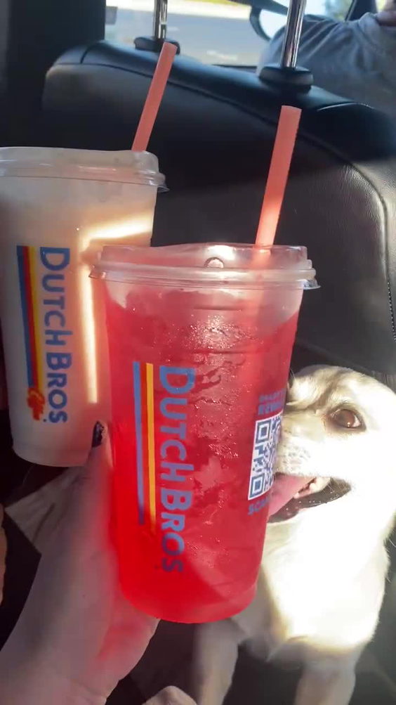 Dutch Bros Coffee