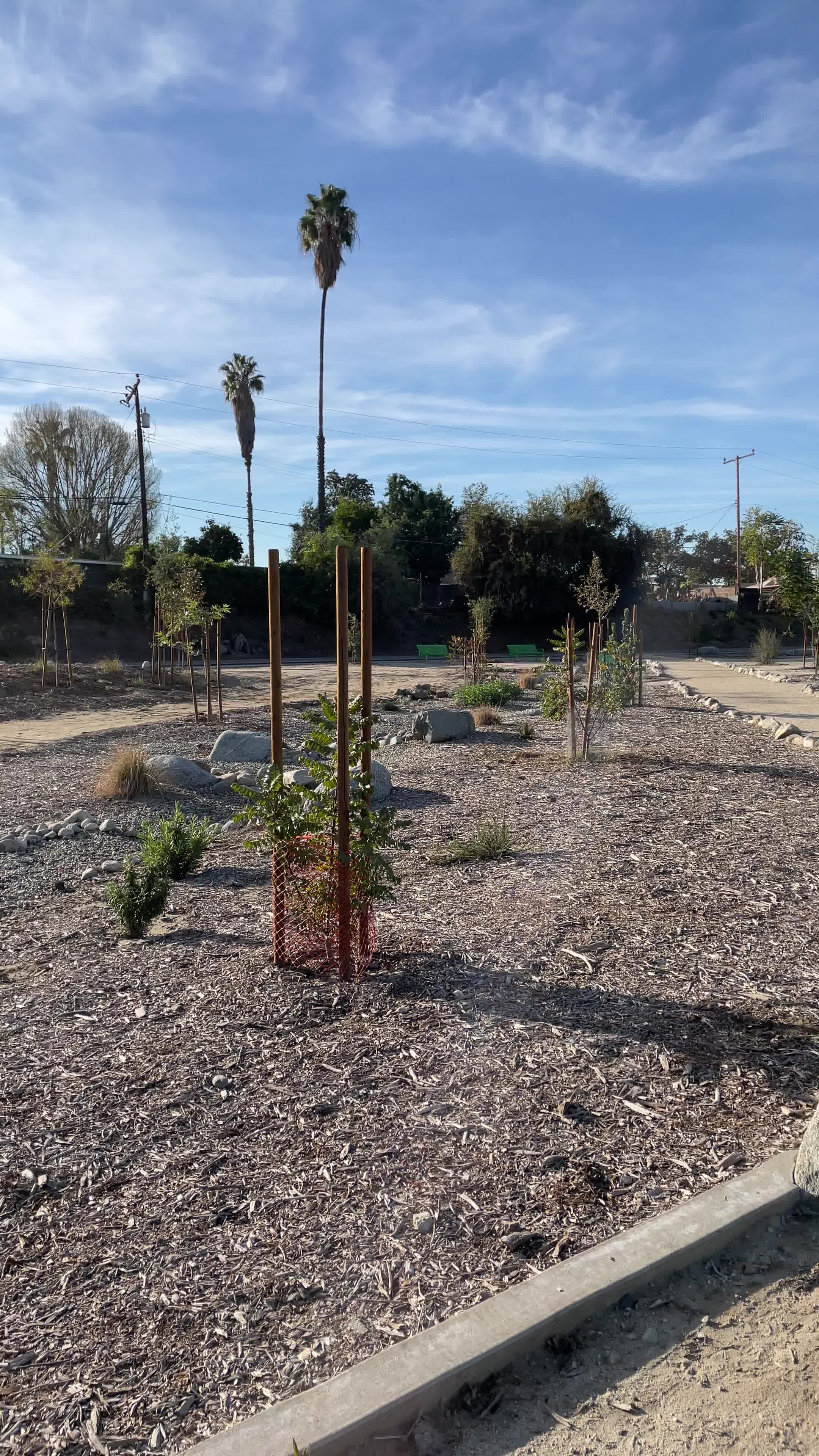 Peck Road Water Conservation Park