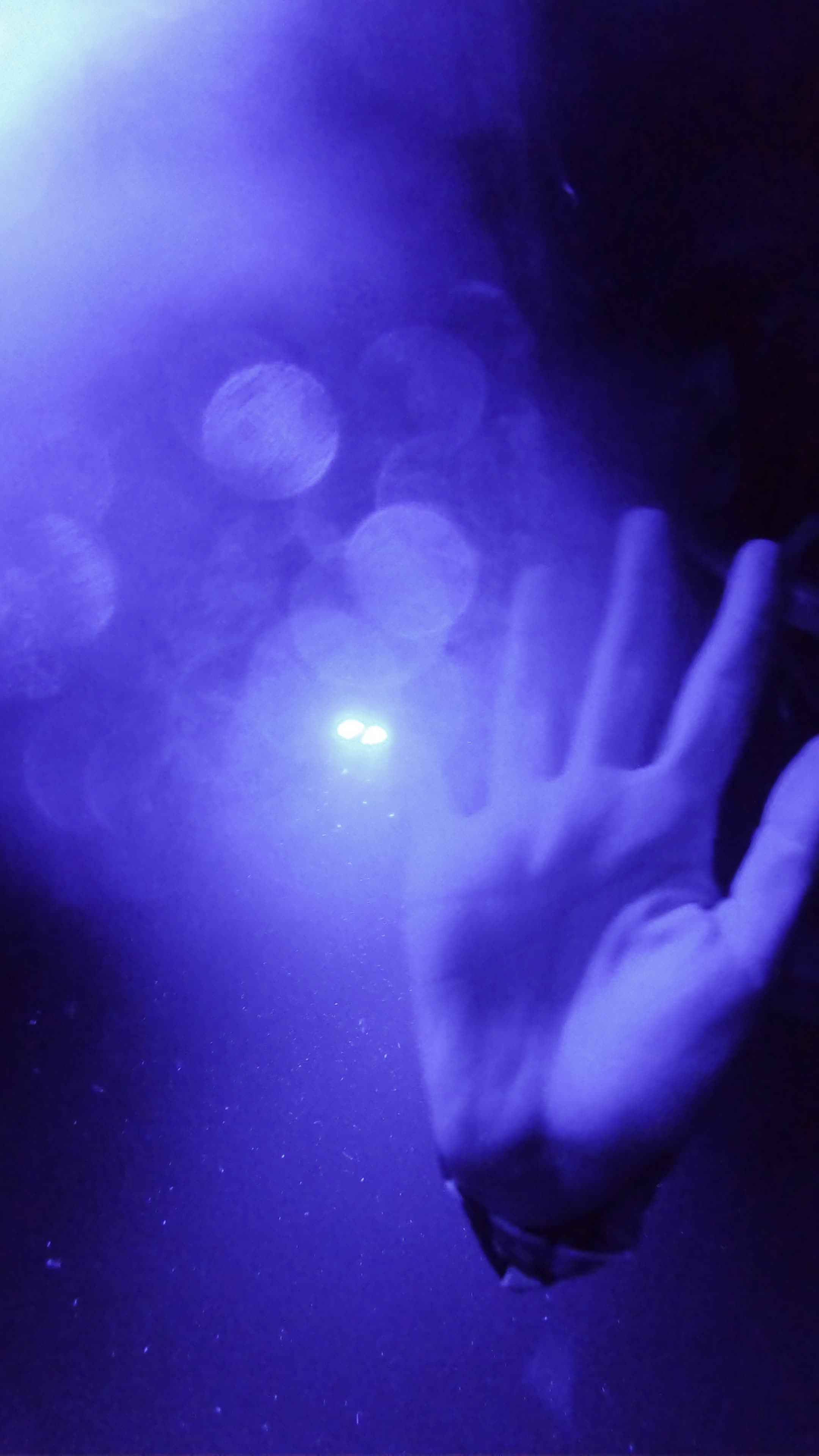 Keauhou Bay And Pier