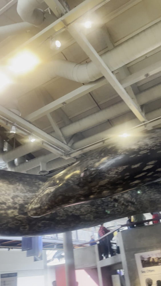 Monterey Bay Aquarium