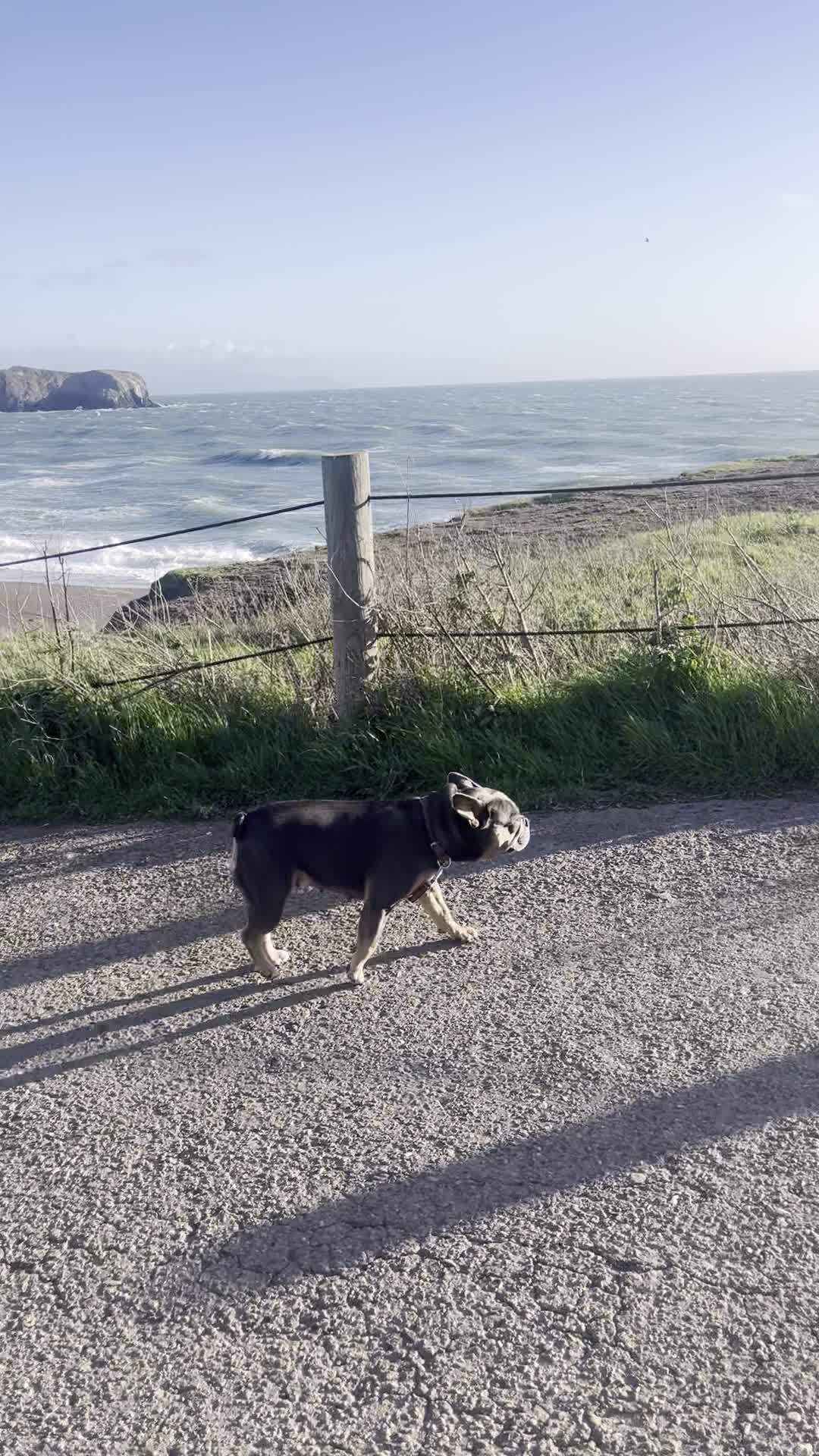 Video review of Marin Headlands