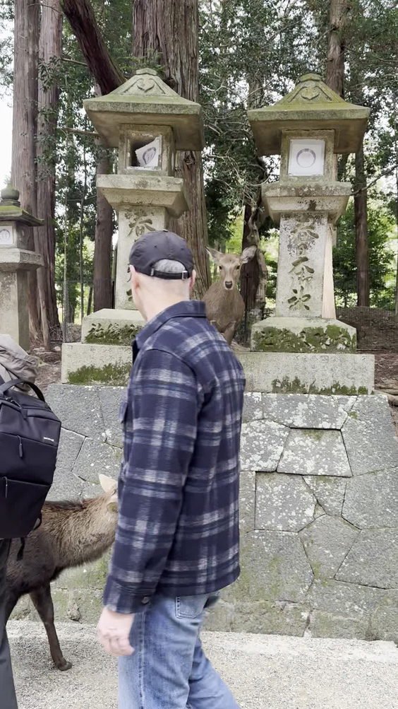 奈良公園 (Nara Park)