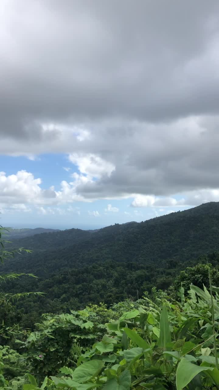 El Yunque National Forest