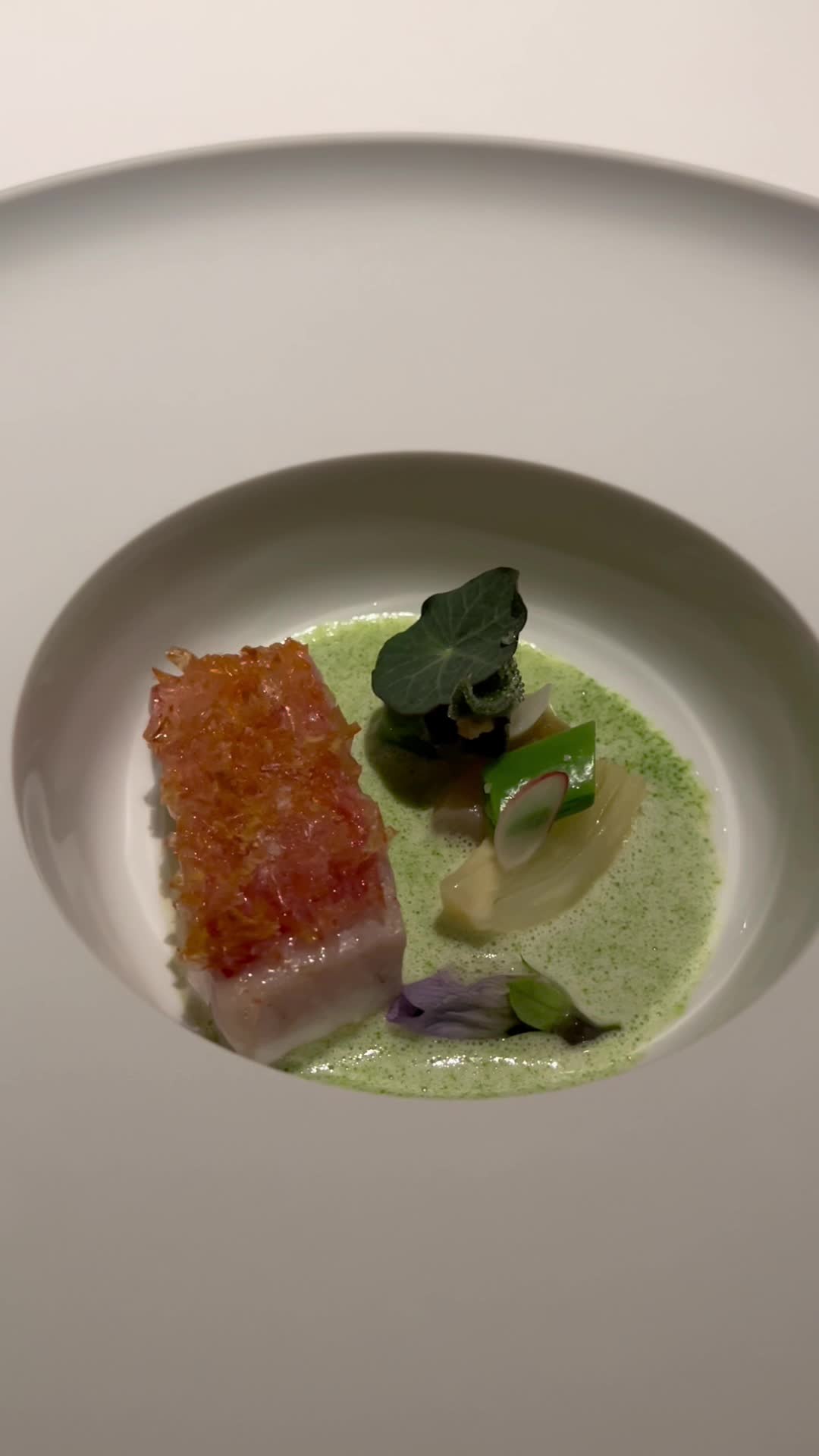 Video review of Addison By William Bradley