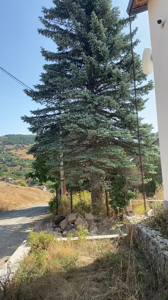 Vardeni Guesthouse