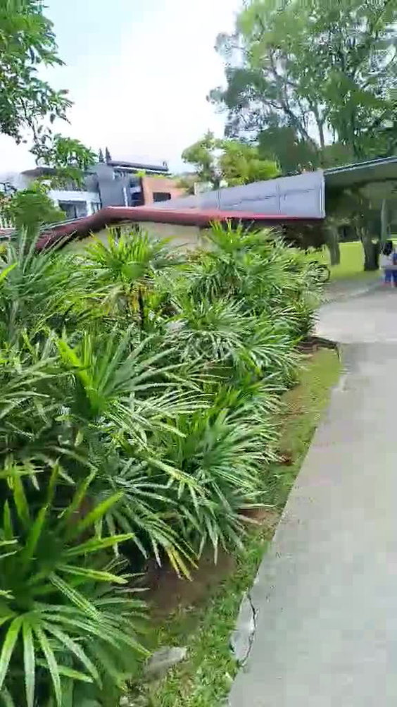 East Coast Park
