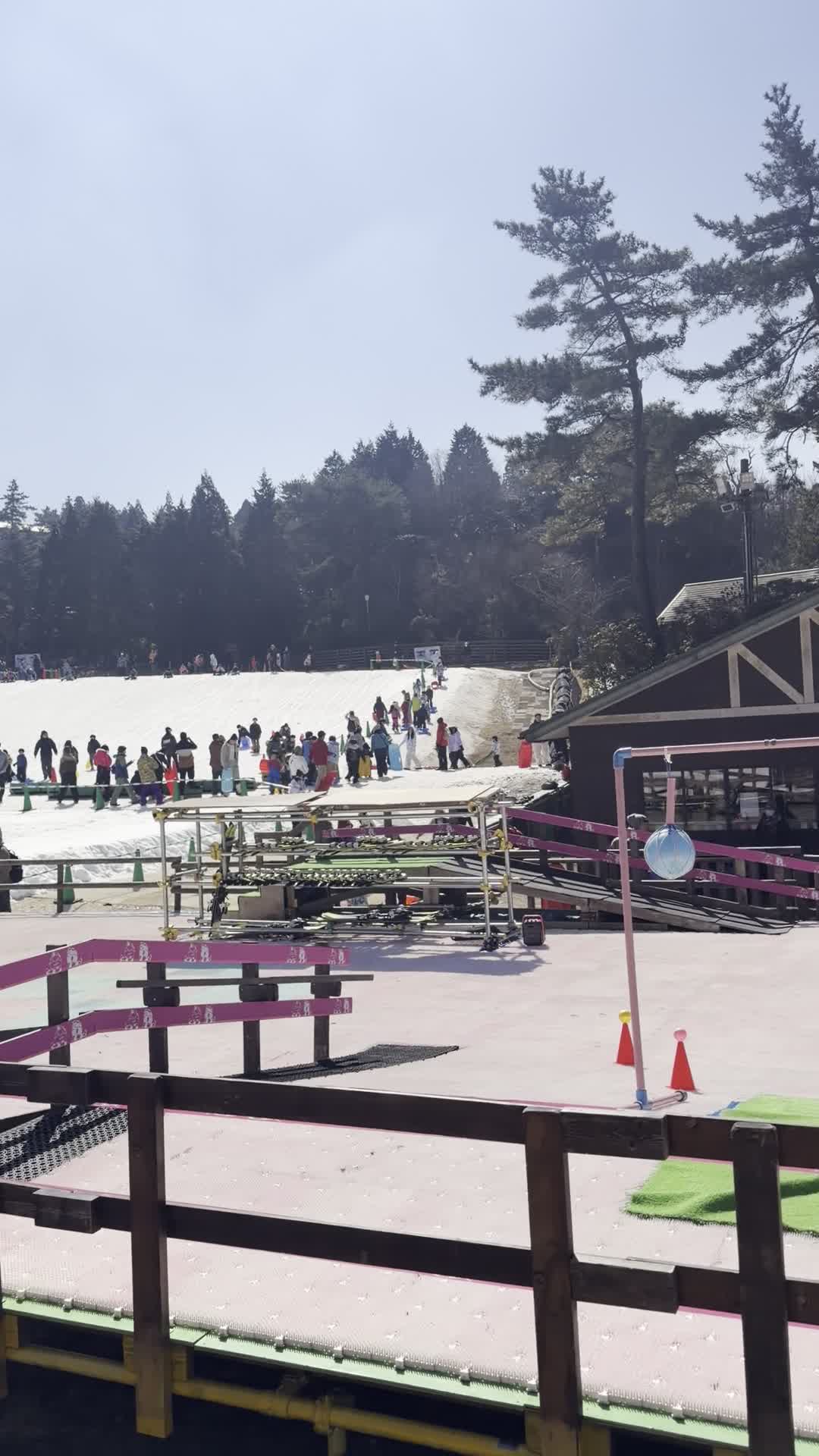 Mt. Rokko (六甲山)