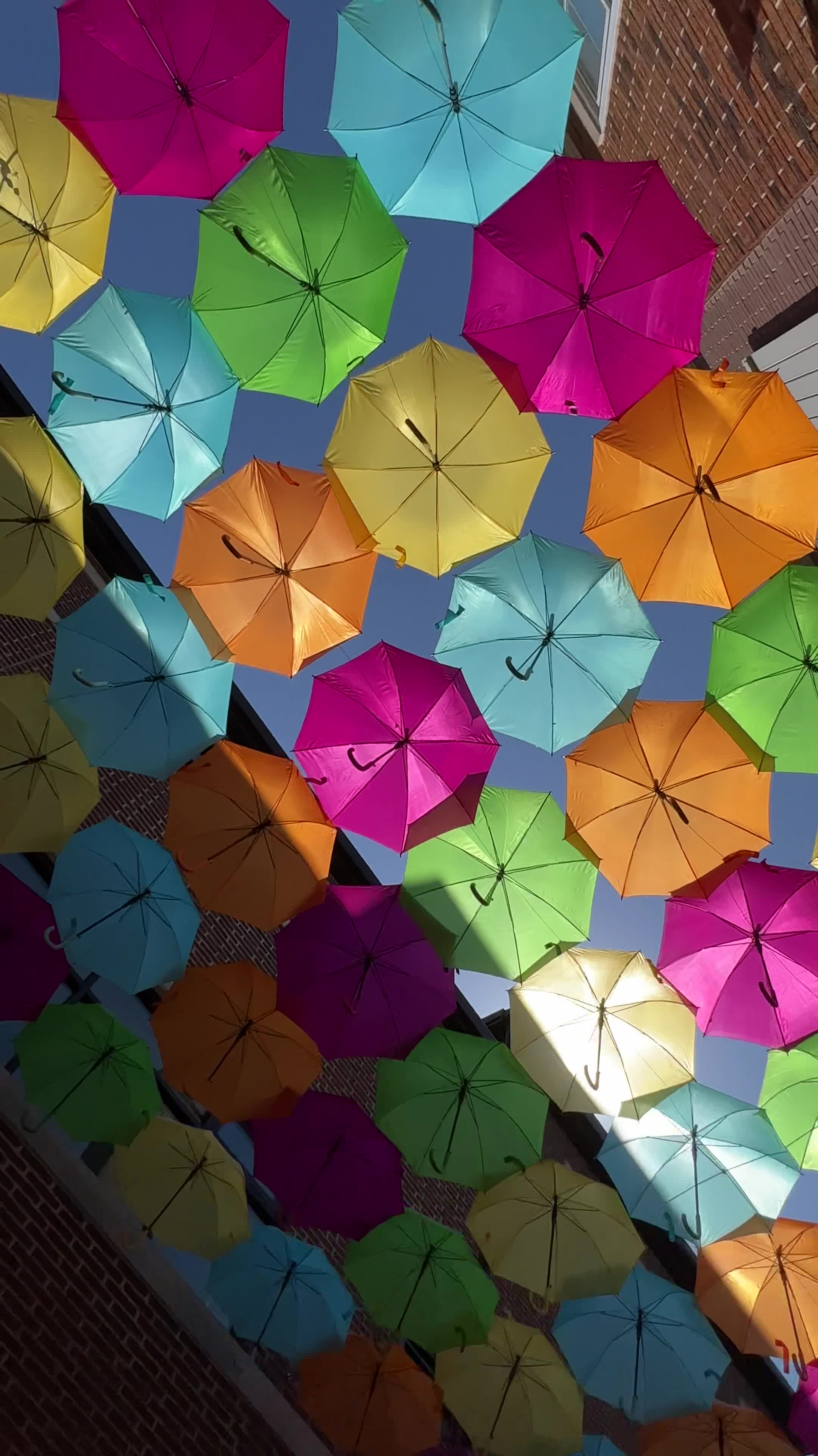 Umbrella Sky Elmhurst