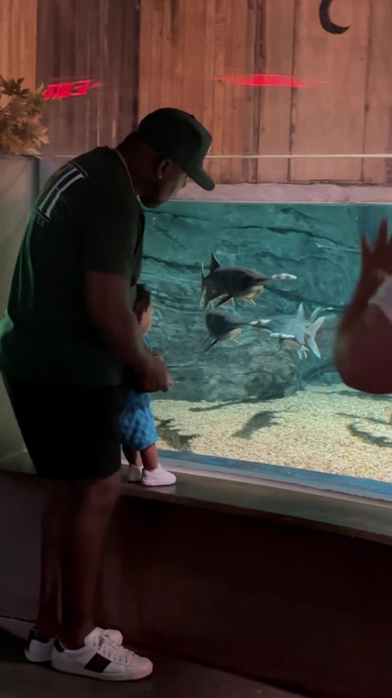 OdySea Aquarium