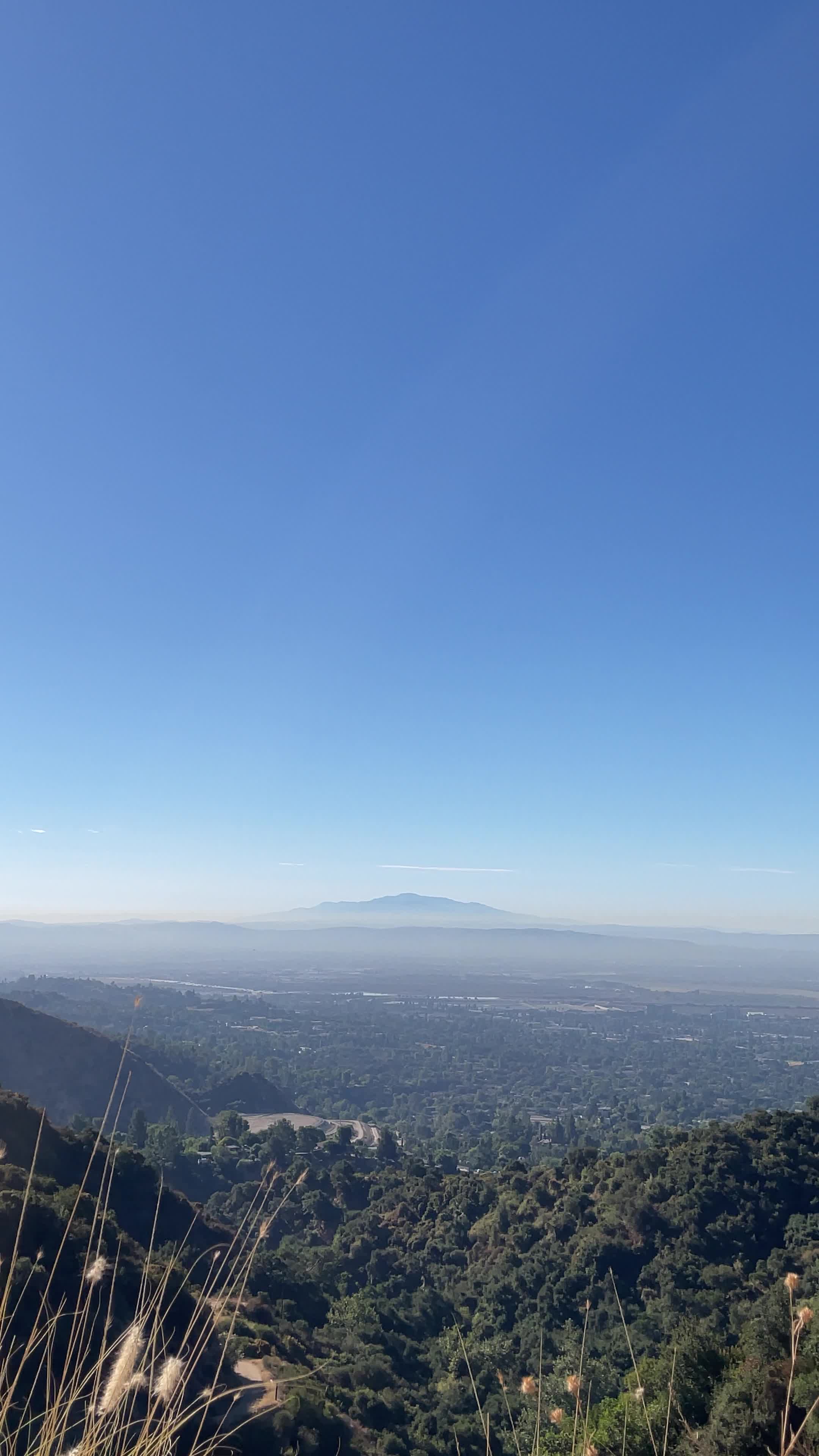 Hillside Wilderness Preserve