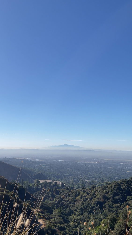 Hillside Wilderness Preserve