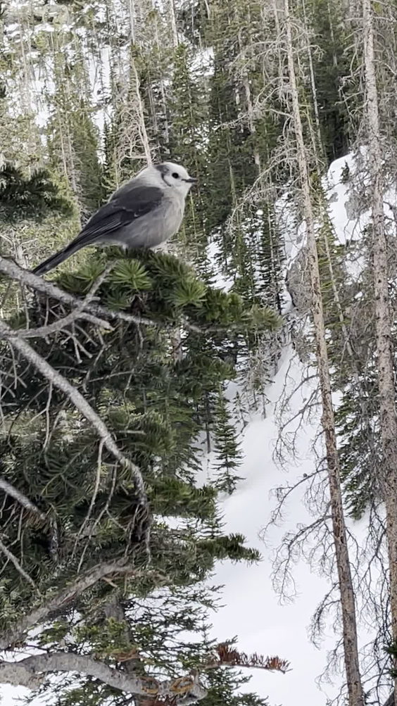 Rocky Mountain National Park