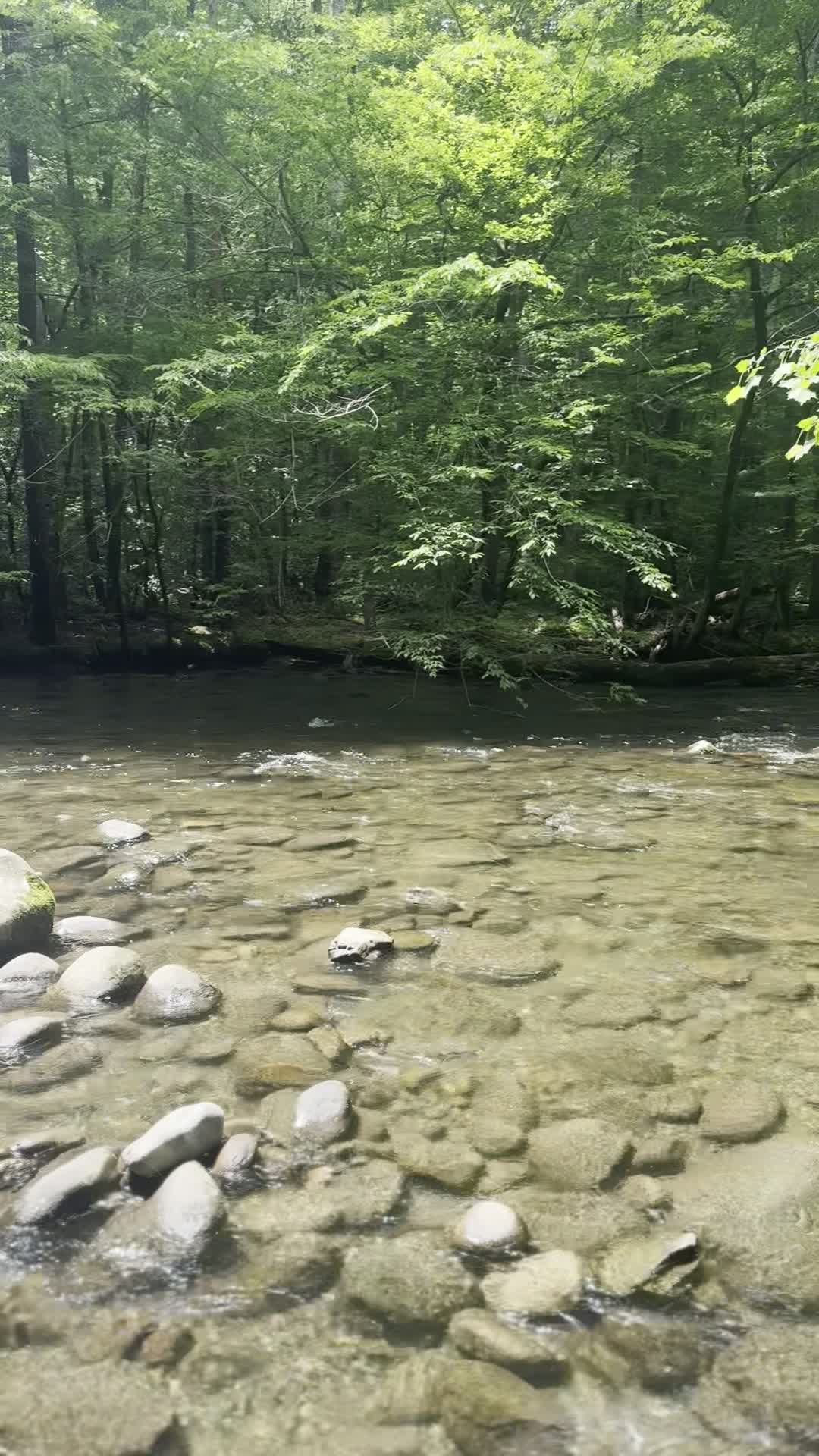 Great Smoky Mountain National Park Campground