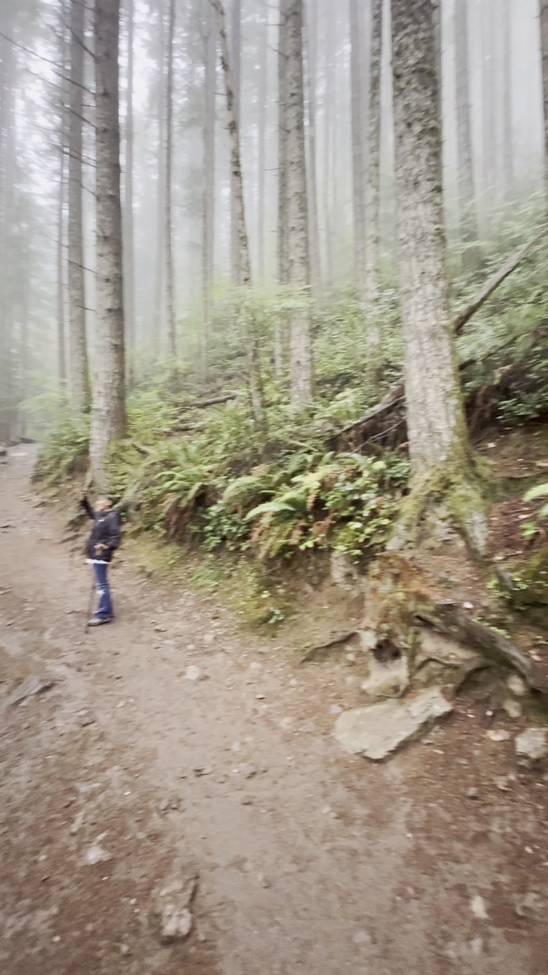 Rattlesnake Ledge Trail
