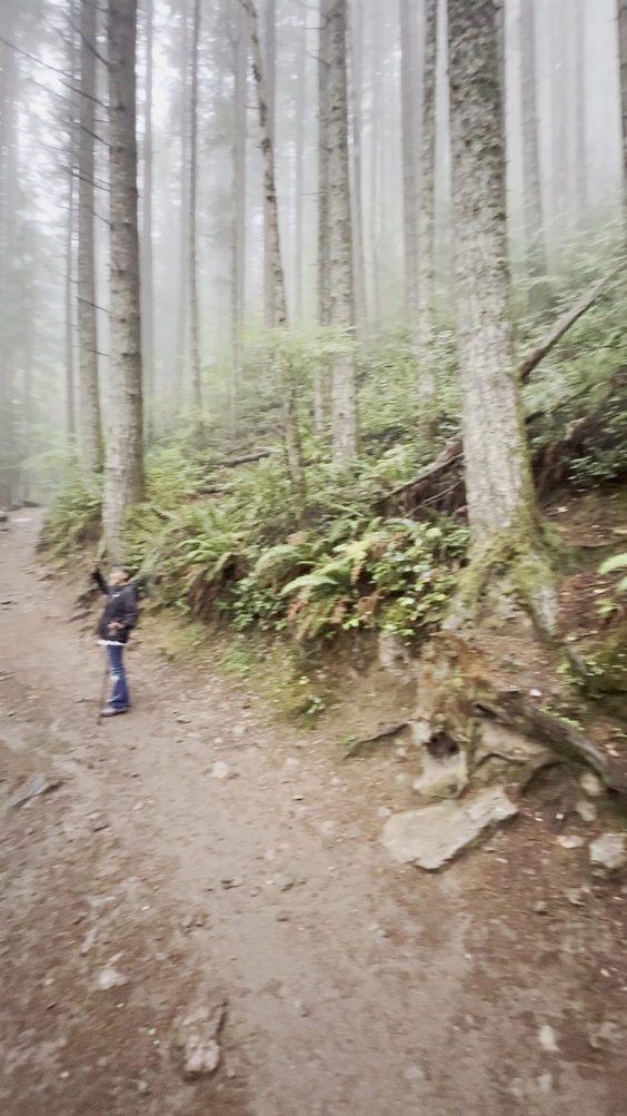 Rattlesnake Ledge Trail