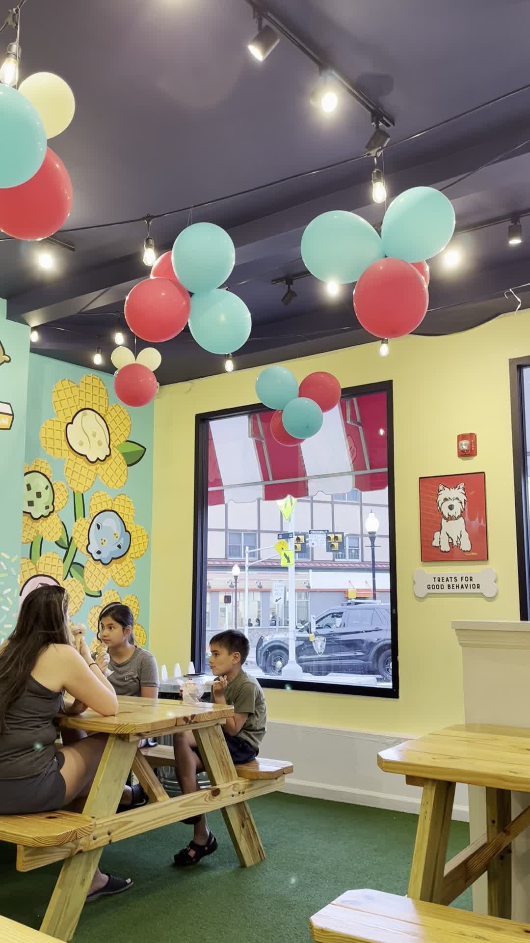 Video review of Beenie's Ice Cream