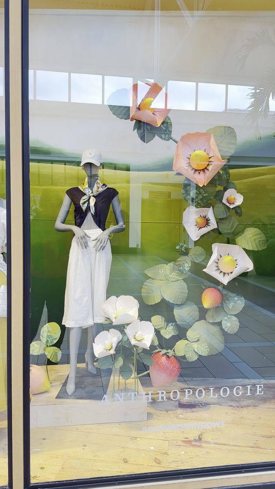 Anthropologie