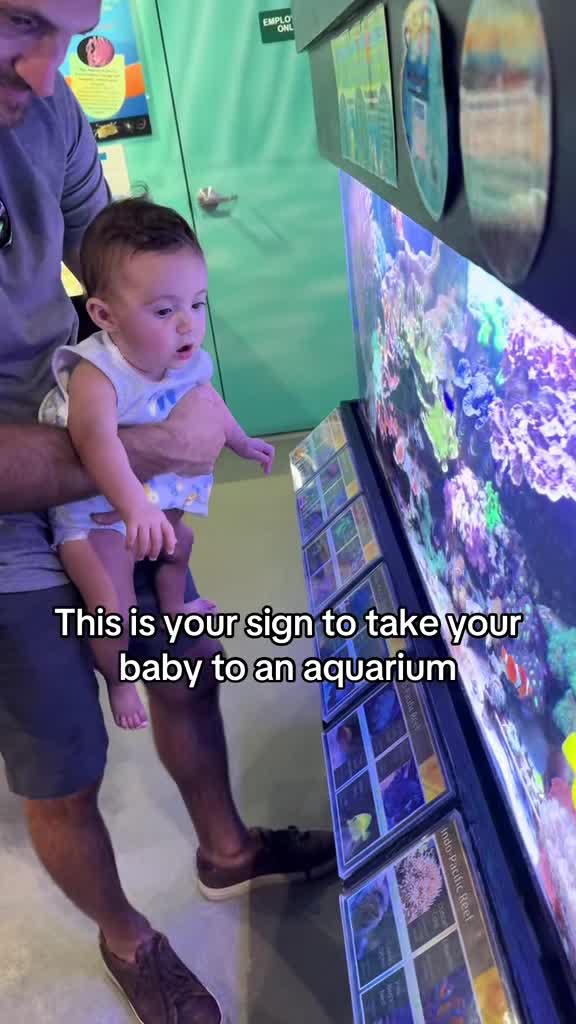 St. Lucie County Aquarium