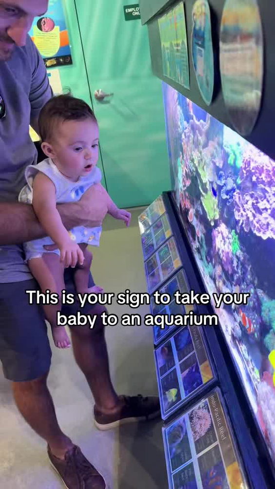 St. Lucie County Aquarium