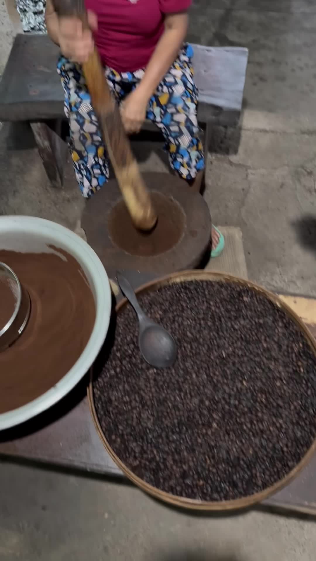 Cantik Agriculture Luwak Coffee