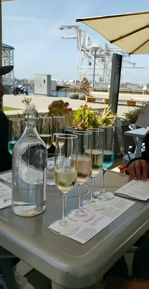 Video review of Ferry Plaza Wine Merchant