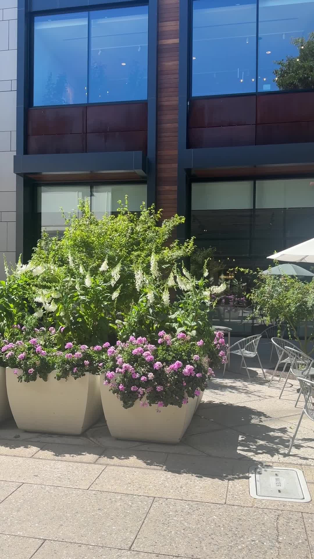 Stanford Shopping Center
