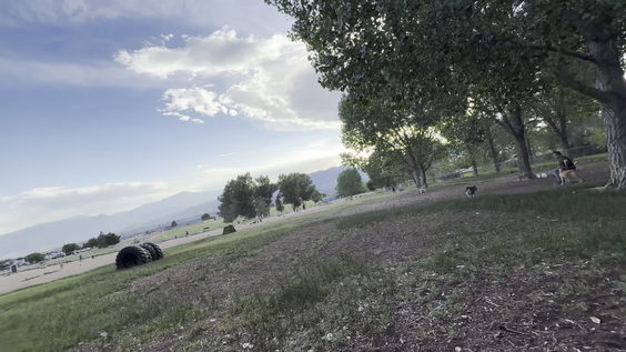 Rampart Dog Park