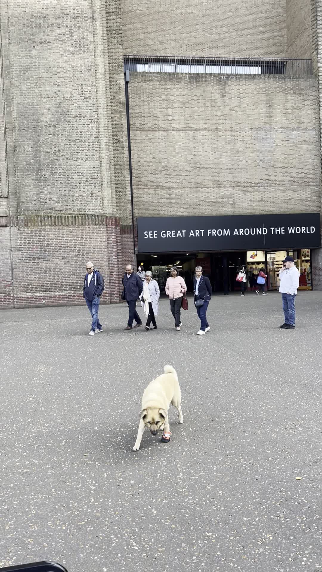 Video review of Tate Modern