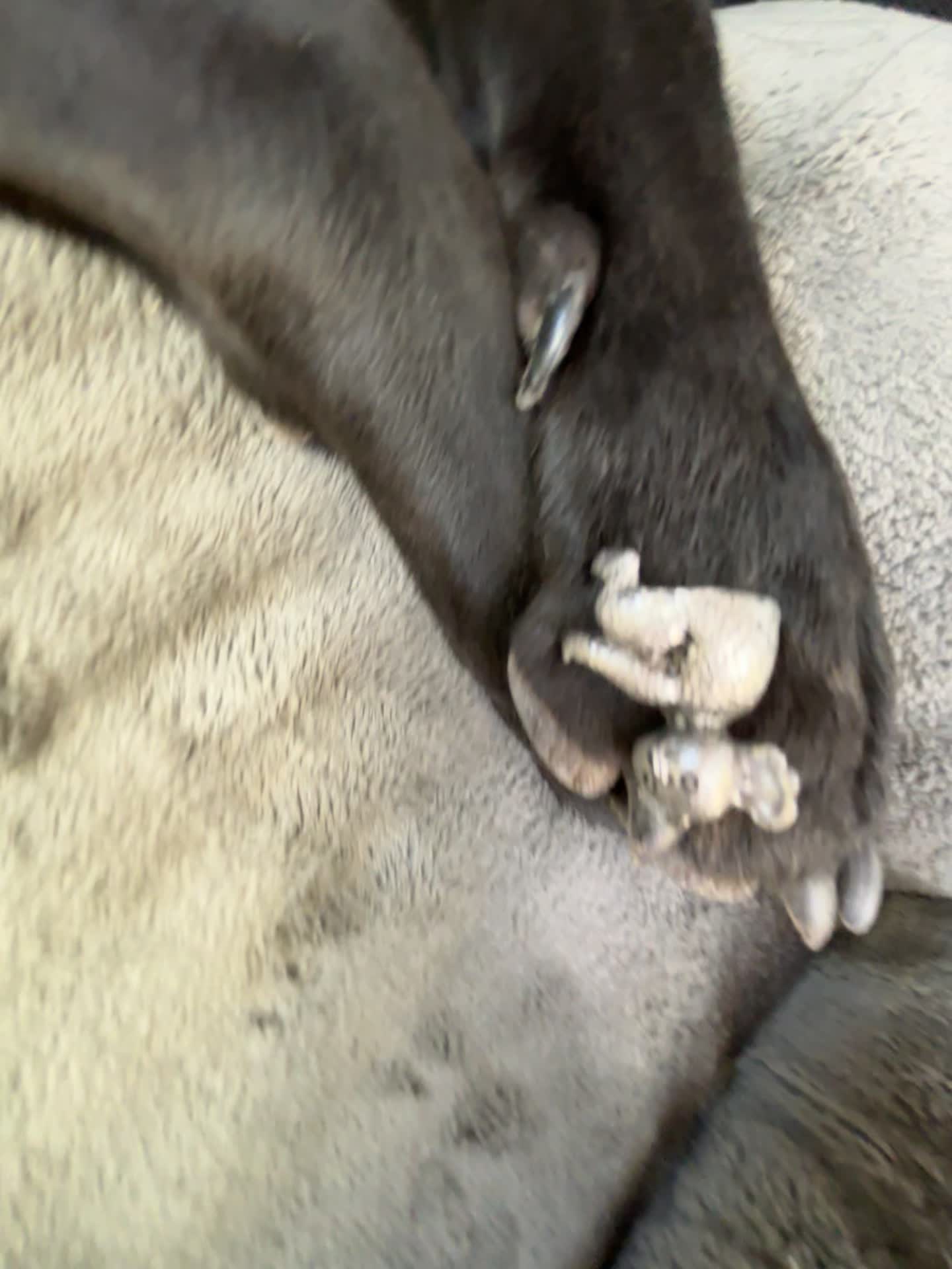 Garden of the Gods Visitor Center