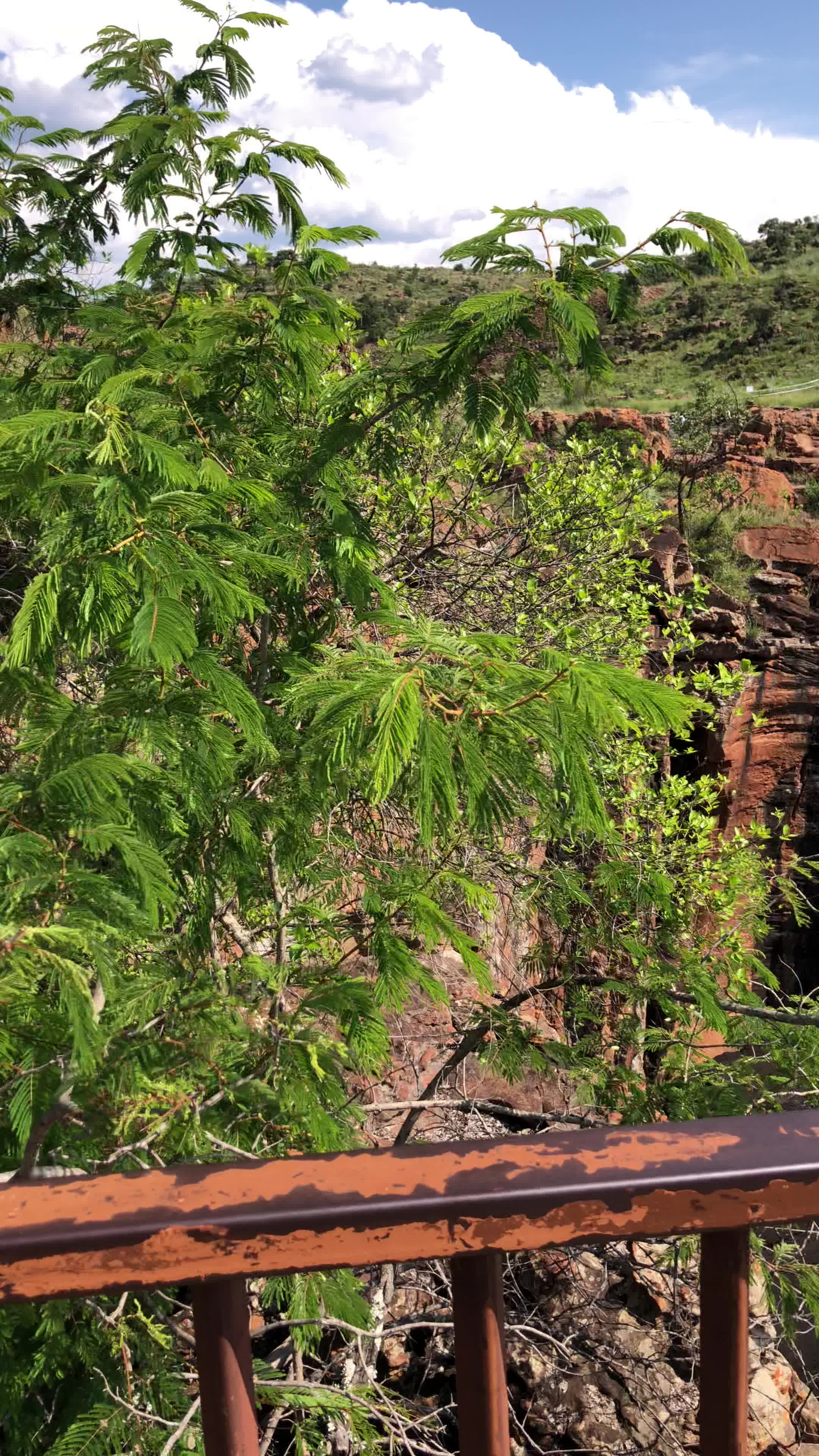 Bourke’s Luck Potholes