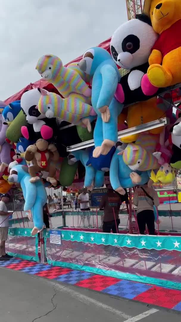 San Diego County Fair
