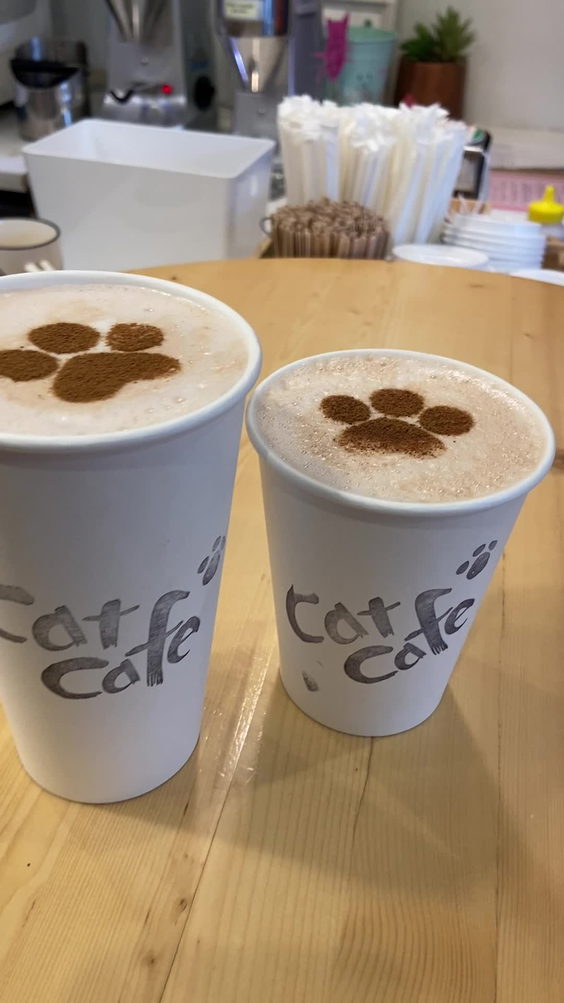 Cat Cafe on Whyte