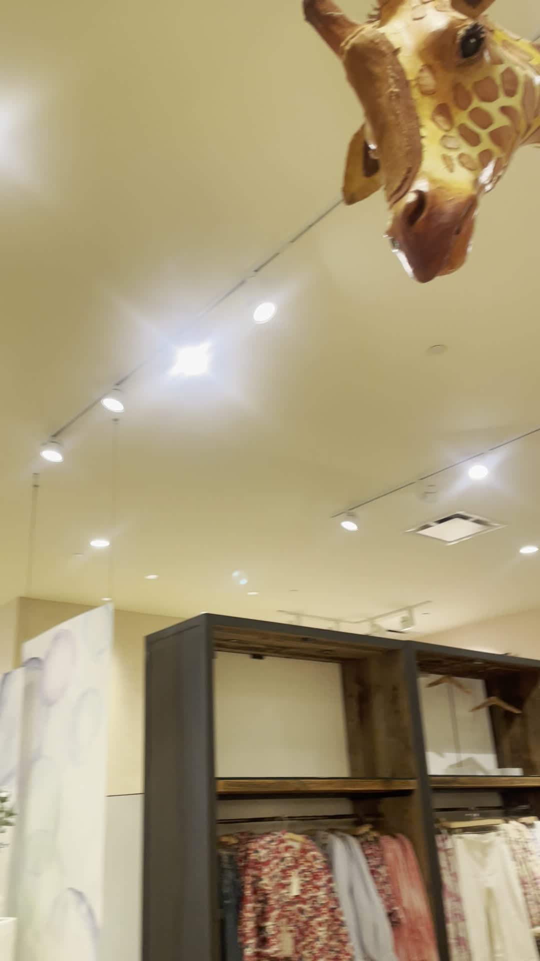 Video review of Fashion Island