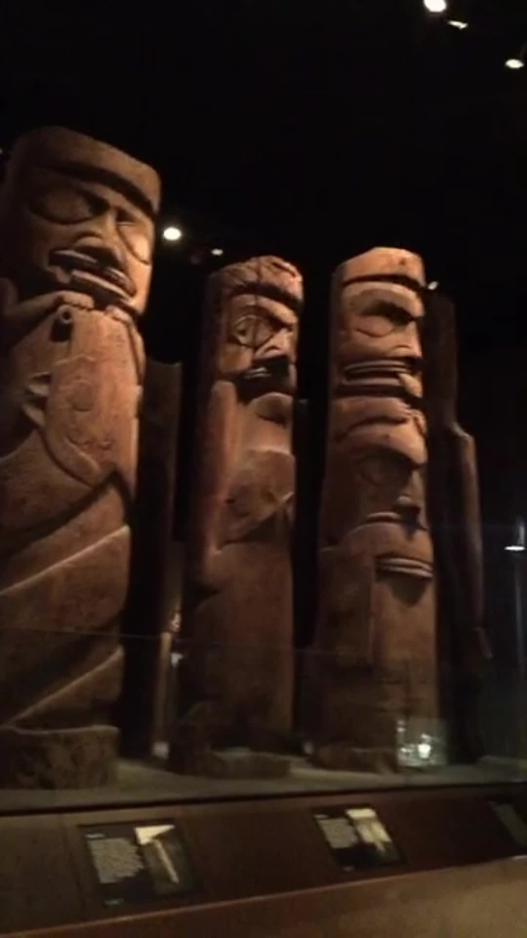 Video review of The Field Museum