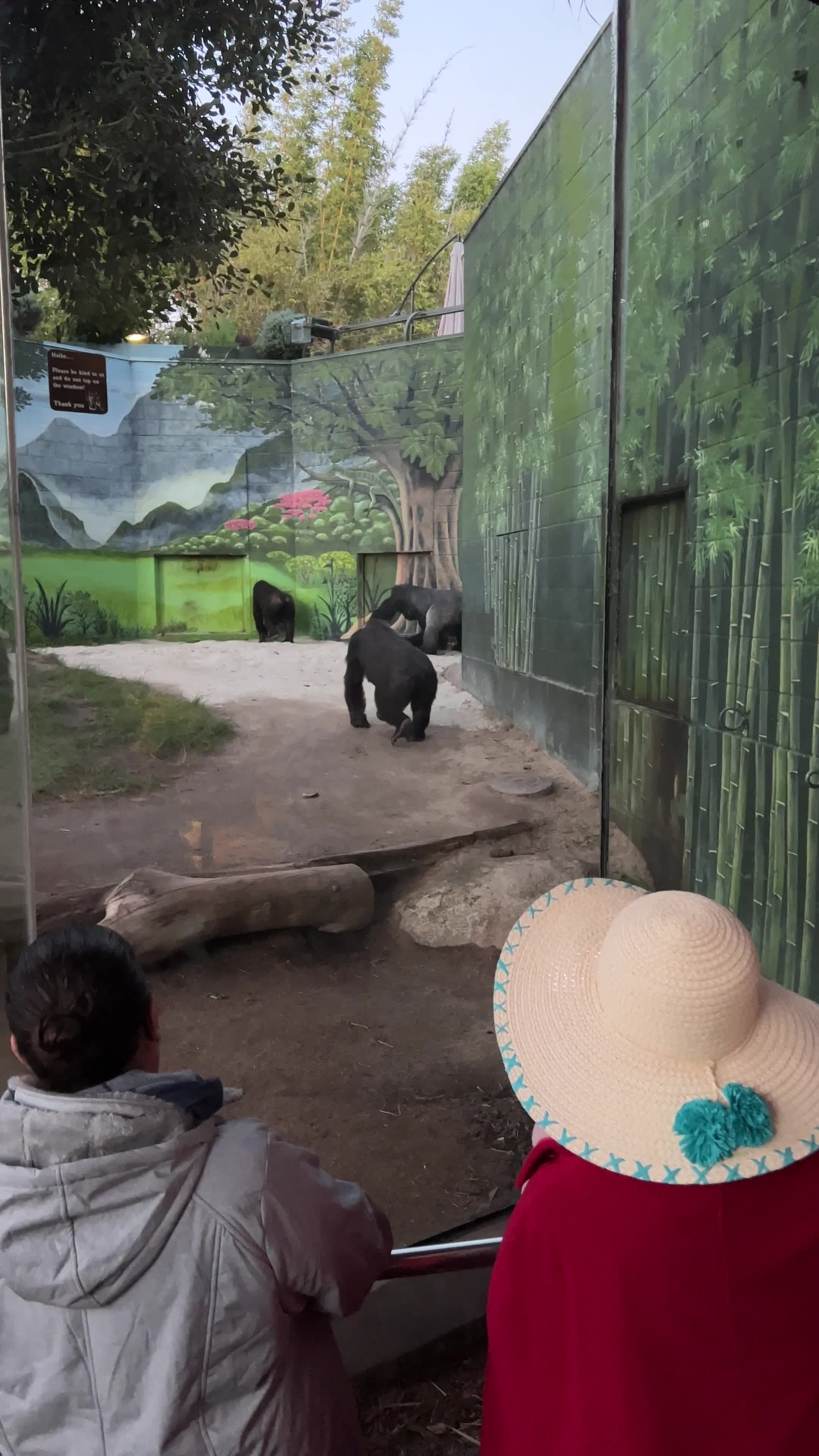 San Diego Zoo