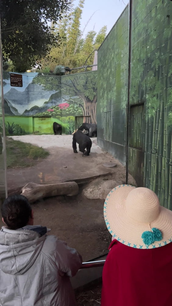 San Diego Zoo
