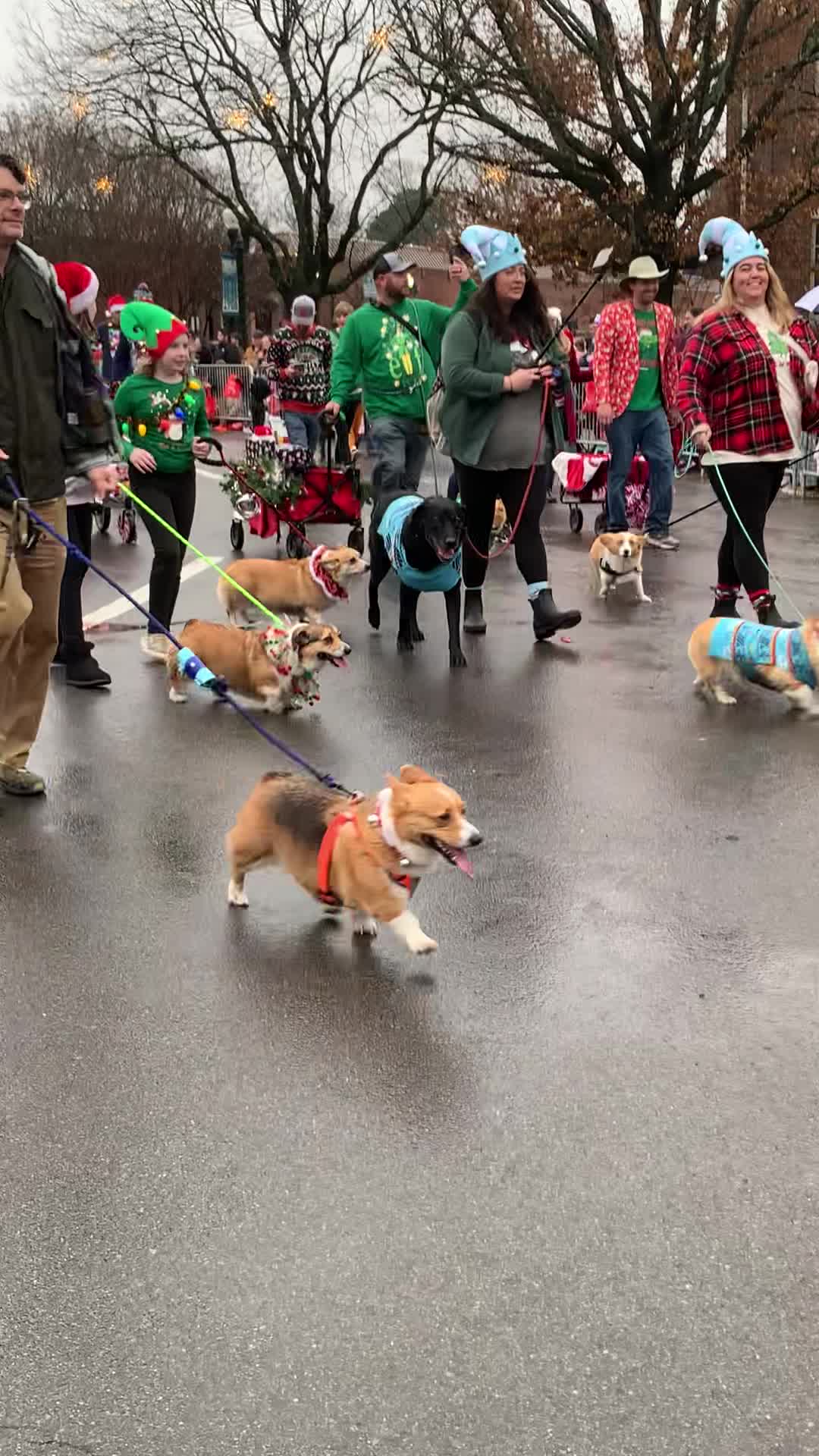 Christmas Parade