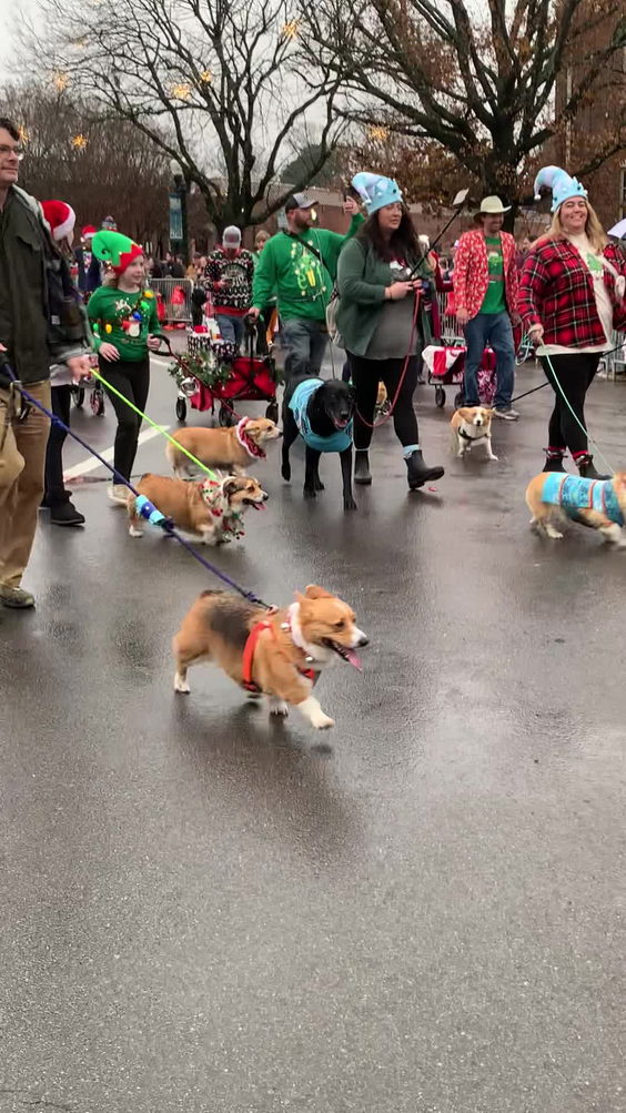 Christmas Parade