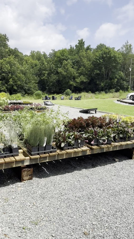 Holl & Stone Farm